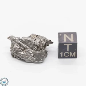 Aletai Meteorite 11.8g Crystal