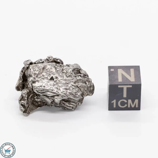 Aletai Meteorite 12.1g Crystal