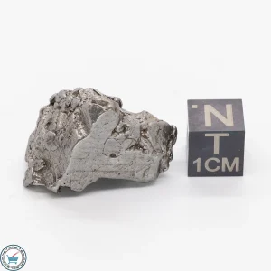 Aletai Meteorite 19g Crystal