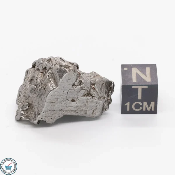 Aletai Meteorite 19g Crystal