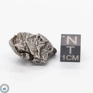 Aletai Meteorite 12.4g Crystal