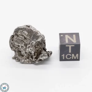 Aletai Meteorite 13.3g Crystal