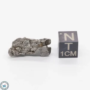Aletai Meteorite 6.4g Crystal