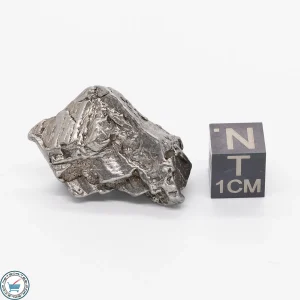 Aletai Meteorite 20.2g Crystal