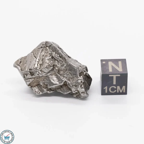 Aletai Meteorite 20.2g Crystal