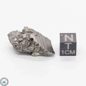 Aletai Meteorite 15.9g Crystal