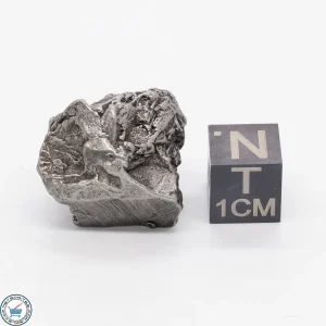 Aletai Meteorite 17.6g Crystal