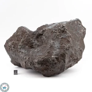 Campo del CIelo Meteorite 10.8kg