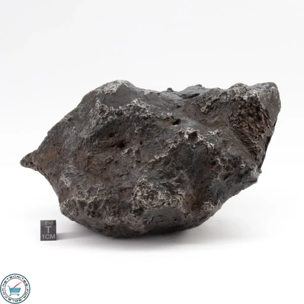 Campo del CIelo Meteorite 4.0kg - Image 2