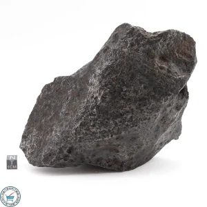 Campo del CIelo Meteorite 3.85kg