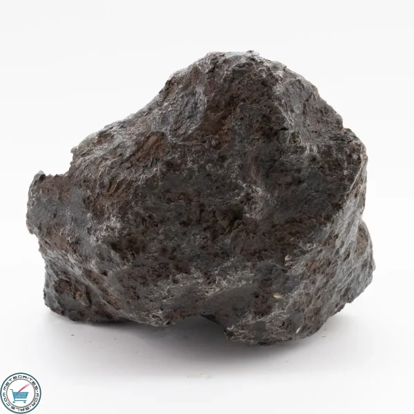 Campo del CIelo Meteorite 3.3kg - Image 2