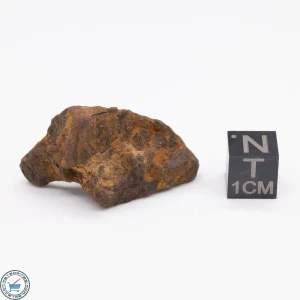 Canyon Diablo Meteorite 19.2g