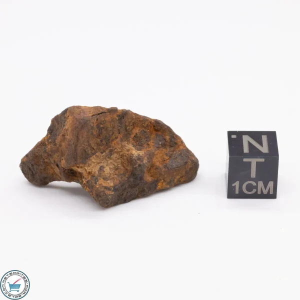Canyon Diablo Meteorite 19.2g