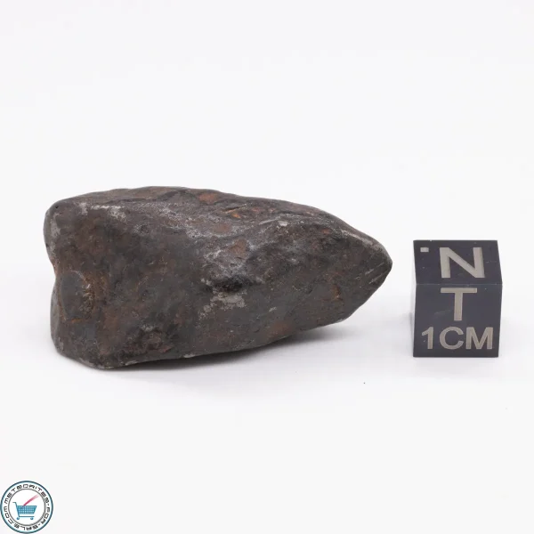 Canyon Diablo Meteorite 38.8g