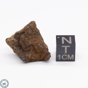 Canyon Diablo Meteorite 13.7g