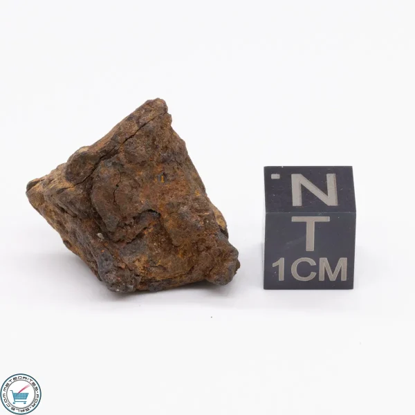 Canyon Diablo Meteorite 13.7g