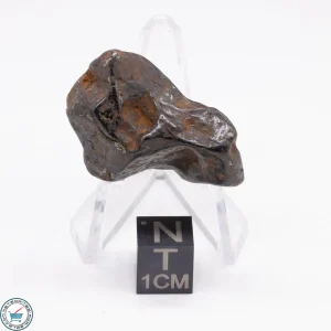 Canyon Diablo Meteorite 24.4g