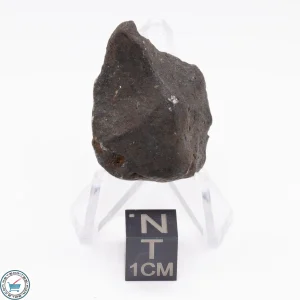 Canyon Diablo Meteorite 21.5g