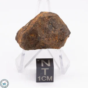Canyon Diablo Meteorite 25.4g