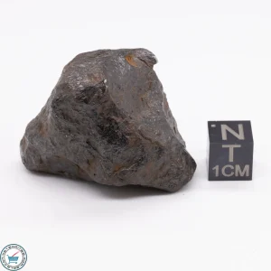 Canyon Diablo Meteorite 98.3g