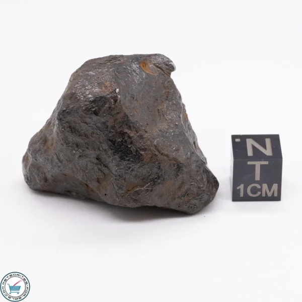Canyon Diablo Meteorite 98.3g