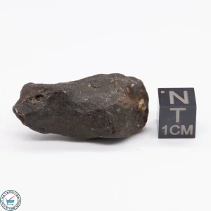 Canyon Diablo Meteorite 22.8g