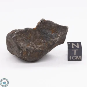 Canyon Diablo Meteorite 65.1g