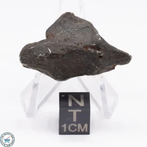 Canyon Diablo Meteorite 18.3g