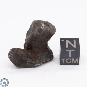 Canyon Diablo Meteorite 19.8g