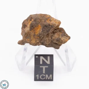Canyon Diablo Meteorite 8.4g
