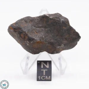 Canyon Diablo Meteorite 32g