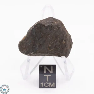 Canyon Diablo Meteorite 25.8g