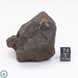 Canyon Diablo Meteorite 194.6g