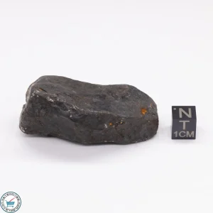 Canyon Diablo Meteorite 157.7g