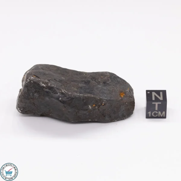 Canyon Diablo Meteorite 157.7g