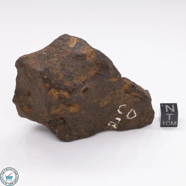Canyon Diablo Meteorite 359.5g