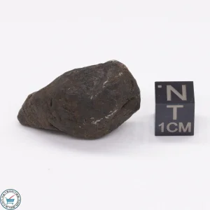Canyon Diablo Meteorite 26.5g