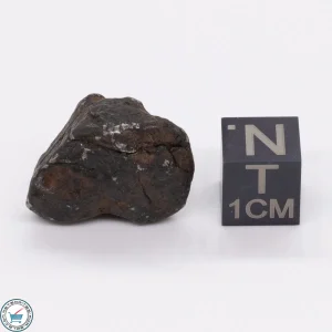 Canyon Diablo Meteorite 13.3g