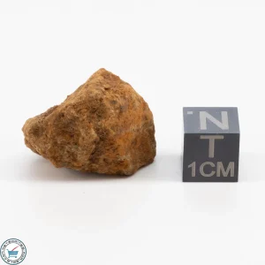 Clarendon (c) Meteorite 10.8g