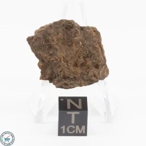 Clarendon (c) Meteorite 7.8g