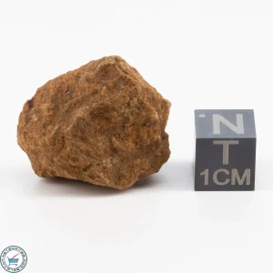 Clarendon (c) Meteorite 11.4g
