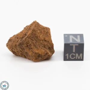 Clarendon (c) Meteorite 8.9g
