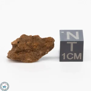 Clarendon (c) Meteorite 1.5g