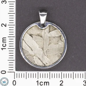 Seymchan Iron Meteorite Circle Pendant -03