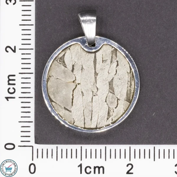 Seymchan Iron Meteorite Circle Pendant -04