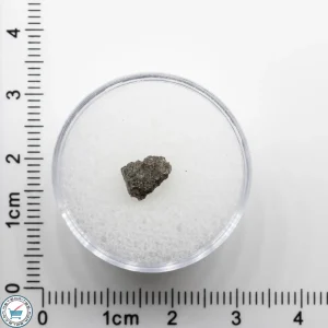 NWA 17472 Martian Meteorite 0.2g