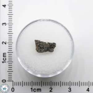 NWA 17472 Martian Meteorite 0.3g