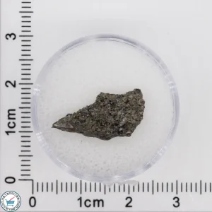 NWA 17472 Martian Meteorite 0.7g
