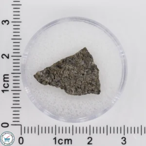 NWA 17472 Martian Meteorite 1g