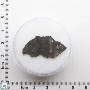 NWA 11182 Lunar Meteorite 0.75g